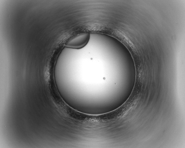 X0000094350635200711021433