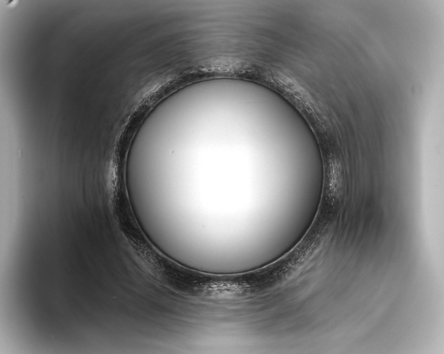 X0000094350636200711021433