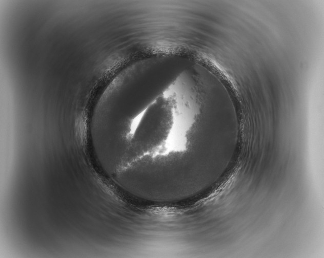 X0000094350637200711021433