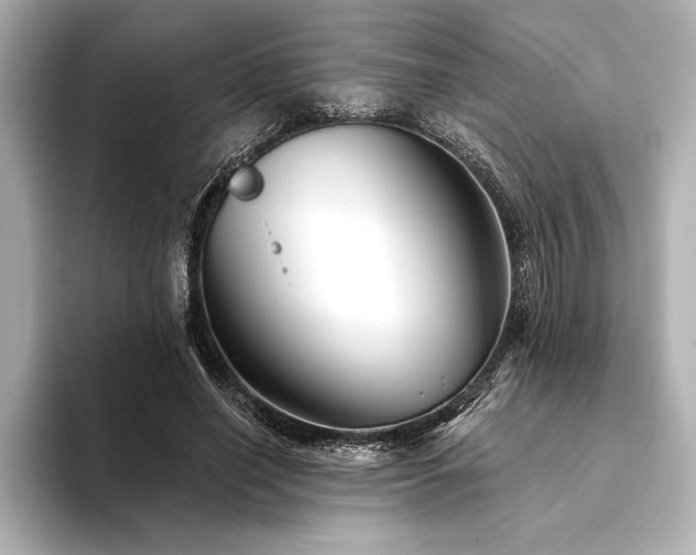 X0000094350638200711021433