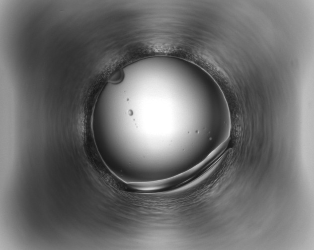 X0000094350639200711021433