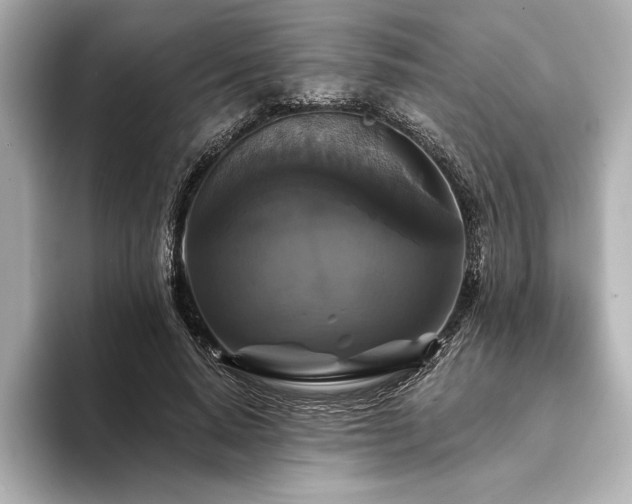 X0000094350640200711021433