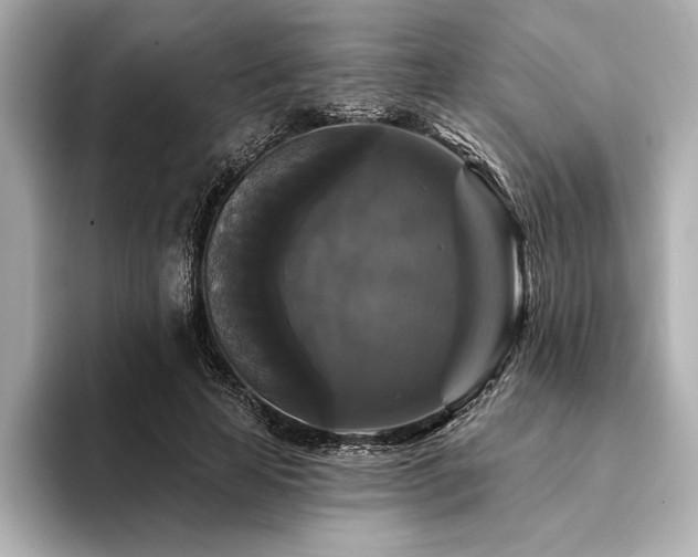 X0000094350641200711021433