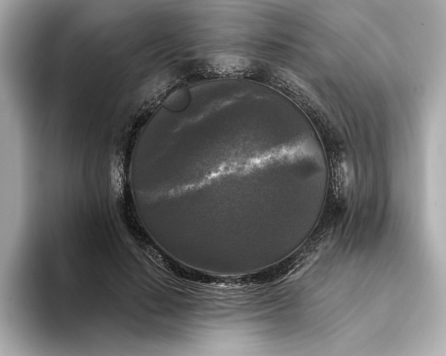 X0000094350644200711021433