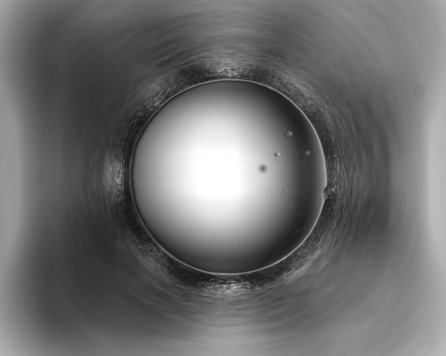 X0000094350646200711021433