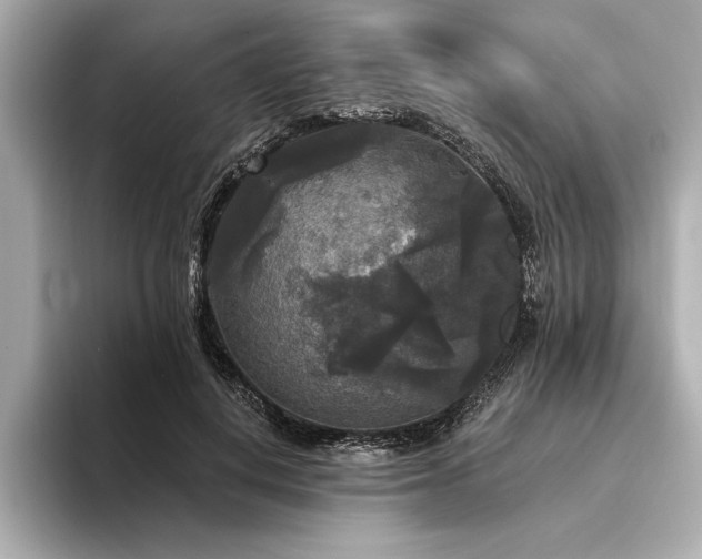 X0000094350648200711021433