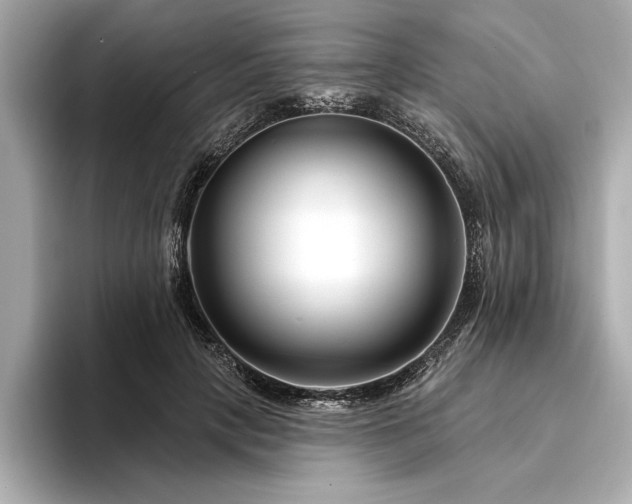 X0000094350649200711021433