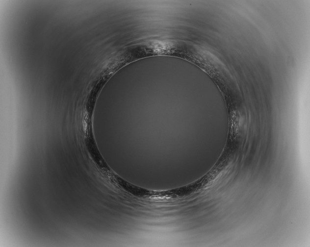 X0000094350650200711021433