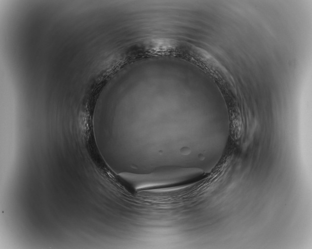 X0000094350654200711021433