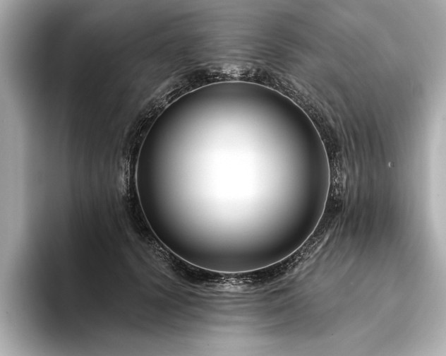 X0000094350656200711021433