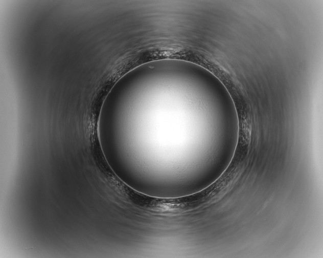 X0000094350657200711021433