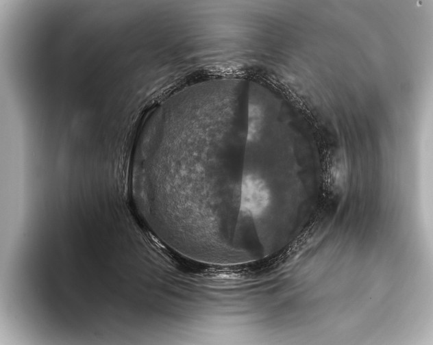 X0000094350658200711021433