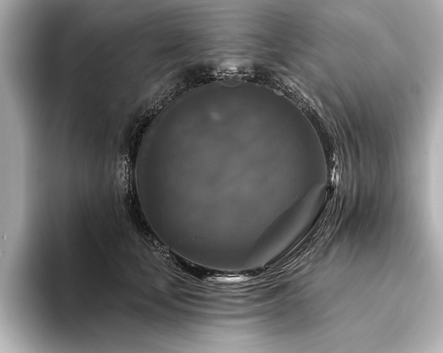 X0000094350659200711021433