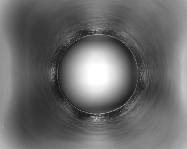 X0000094350660200711021434