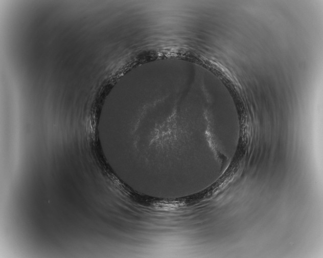 X0000094350661200711021434