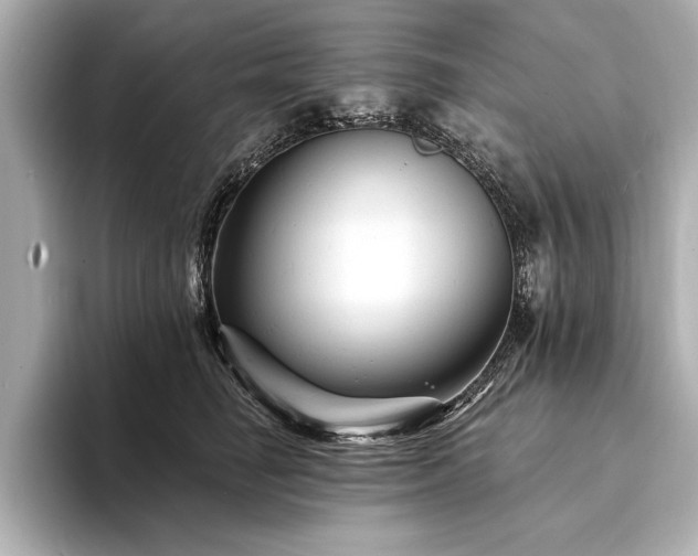 X0000094350662200711021434