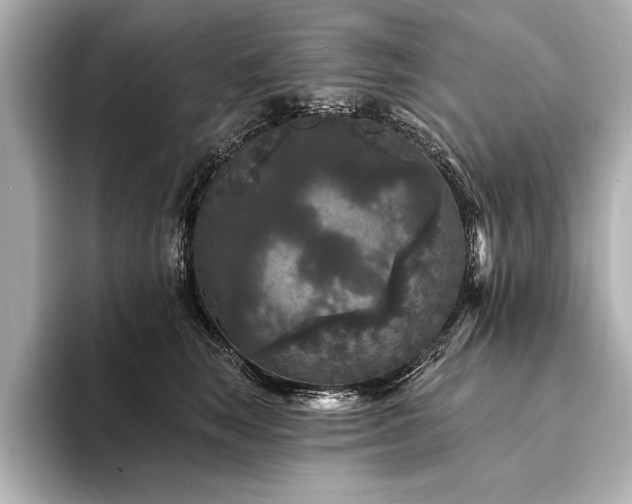 X0000094350663200711021434