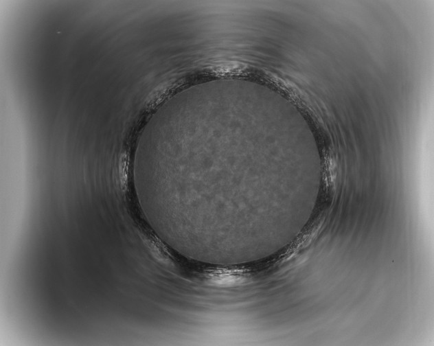 X0000094350664200711021434