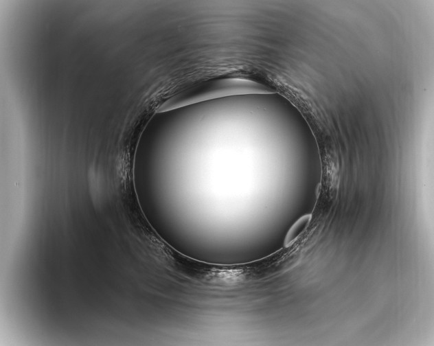 X0000094350665200711021434