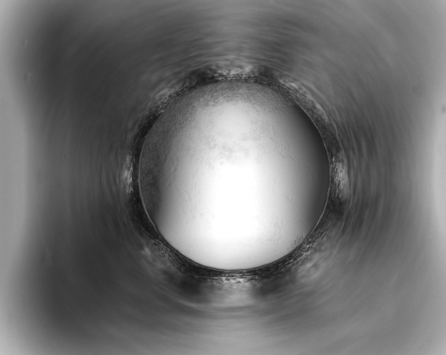 X0000094350668200711021434