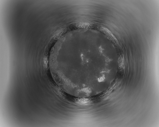 X0000094350669200711021434