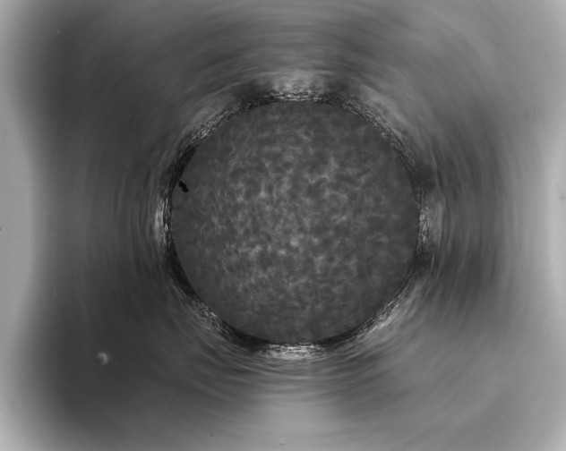 X0000094350671200711021434