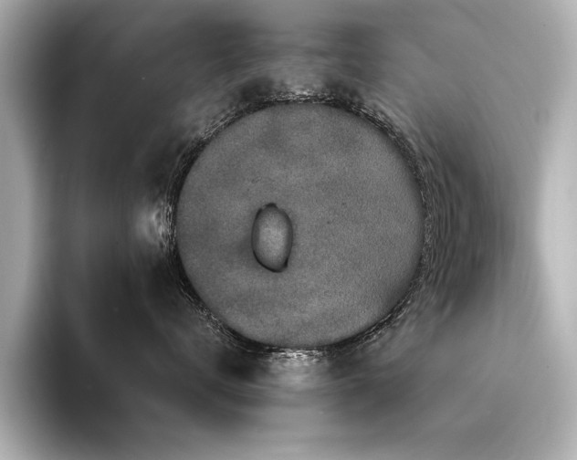 X0000094350672200711021434