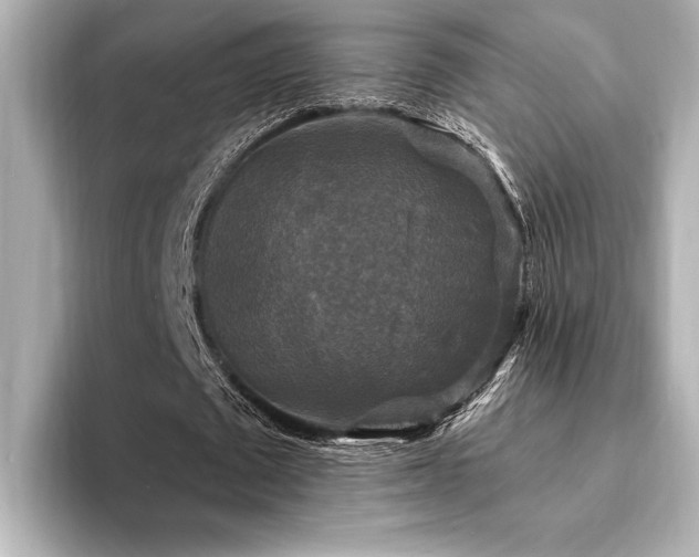 X0000094350673200711021433