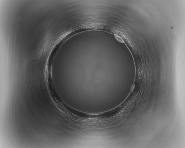 X0000094350674200711021433