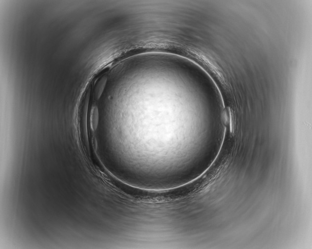 X0000094350675200711021433