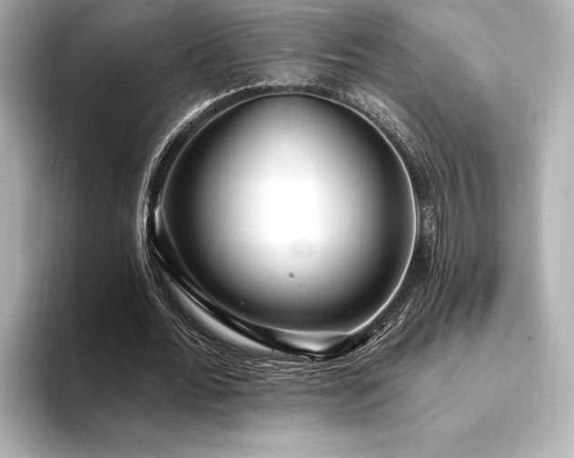 X0000094350676200711021433