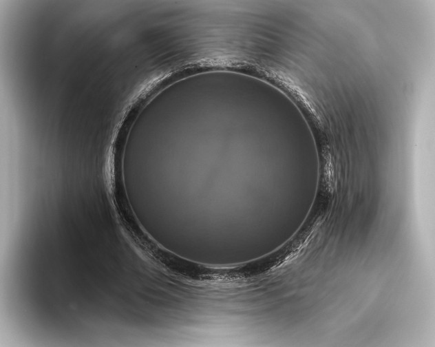 X0000094350678200711021433