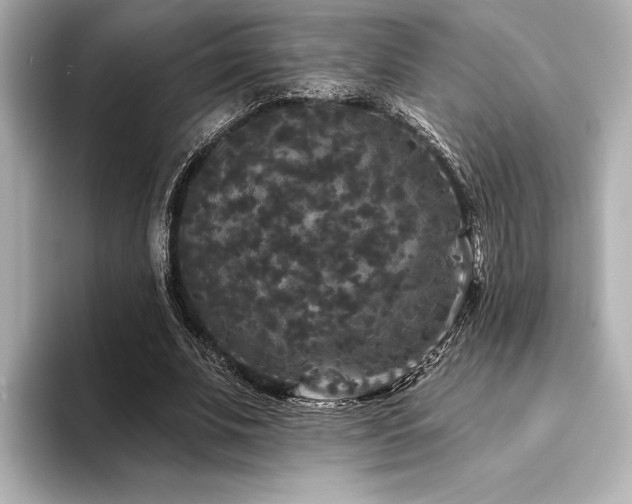 X0000094350679200711021433