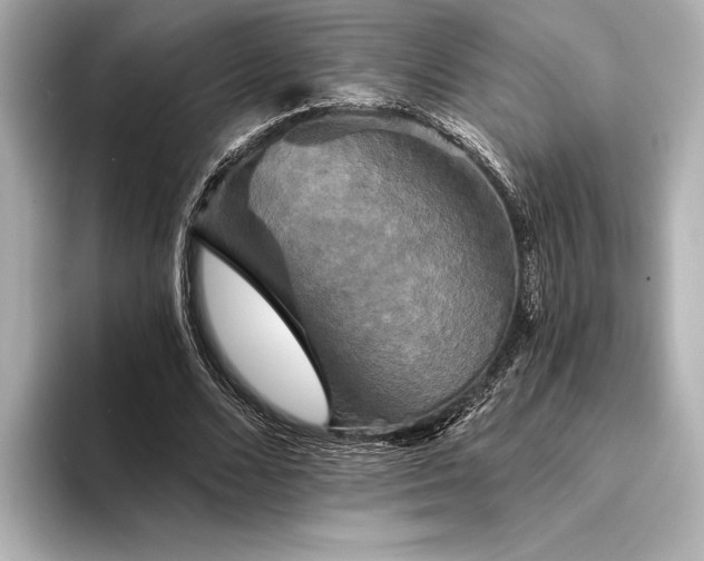 X0000094350680200711021433