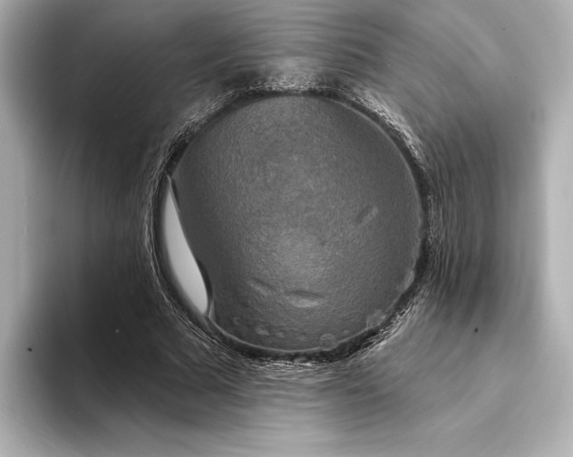 X0000094350681200711021433