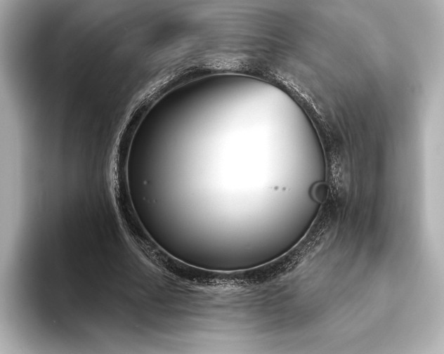 X0000094350682200711021433