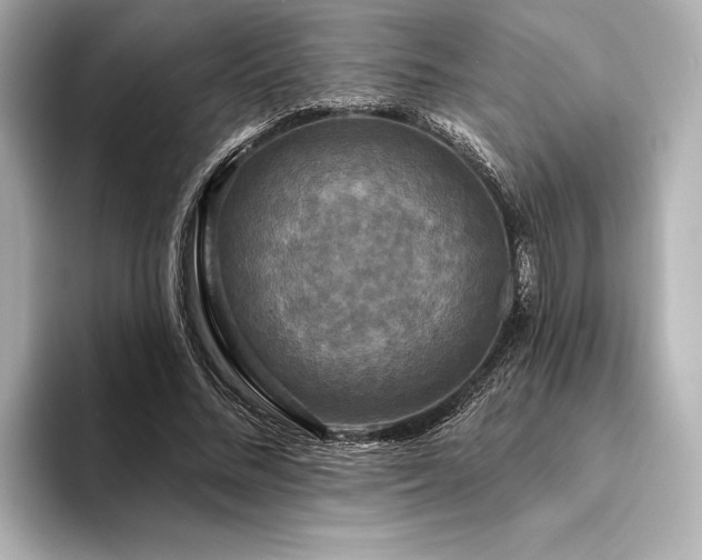 X0000094350684200711021433