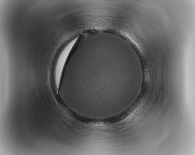 X0000094350685200711021433