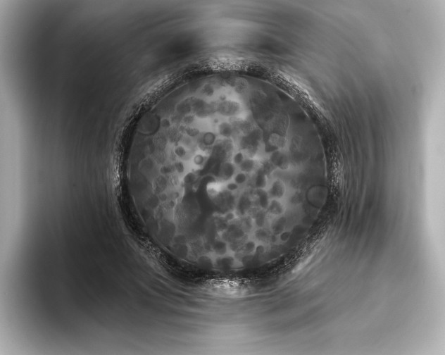 X0000094350687200711021433