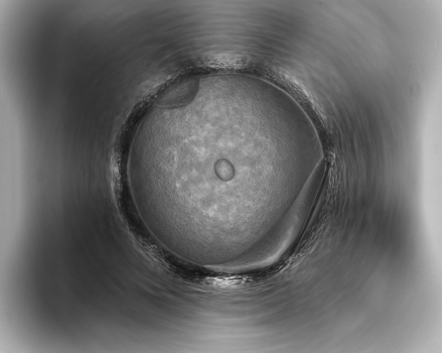 X0000094350688200711021433