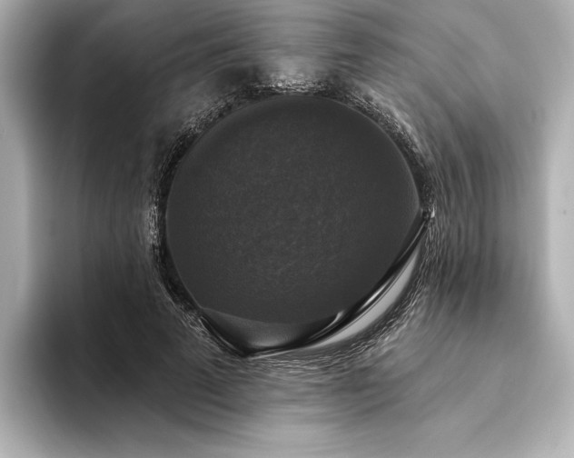 X0000094350689200711021433