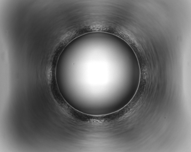 X0000094350690200711021433