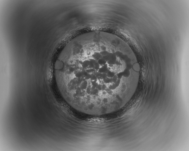 X0000094350691200711021433