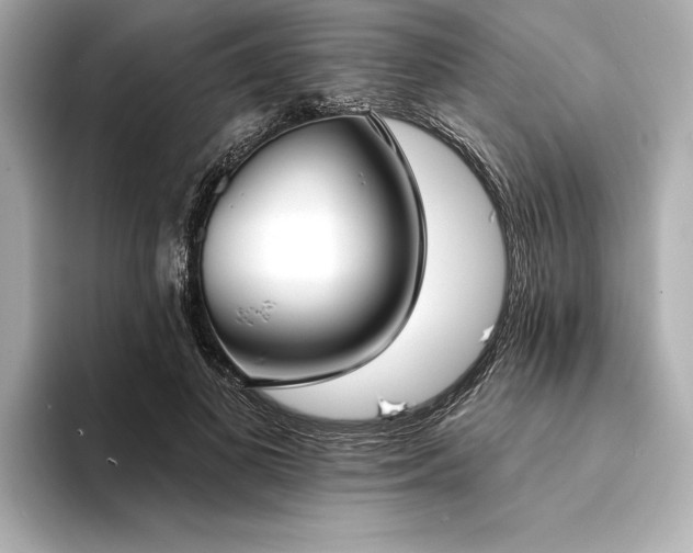 X0000094350693200711021433