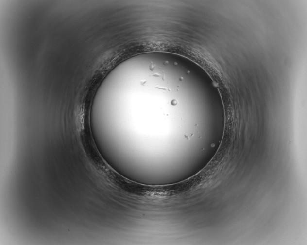 X0000094350694200711021433