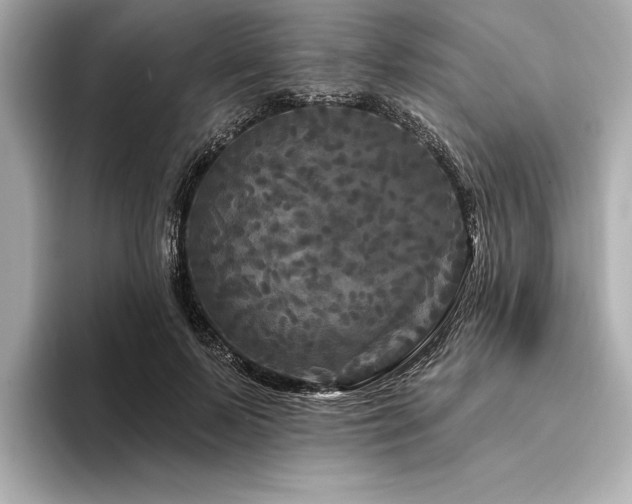 X0000094350695200711021433