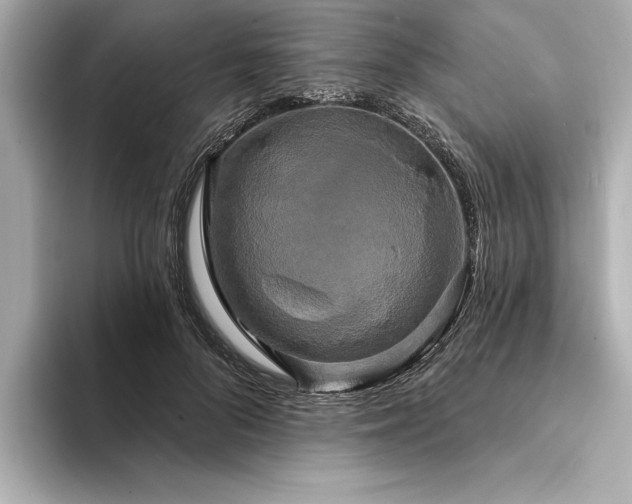 X0000094350696200711021433