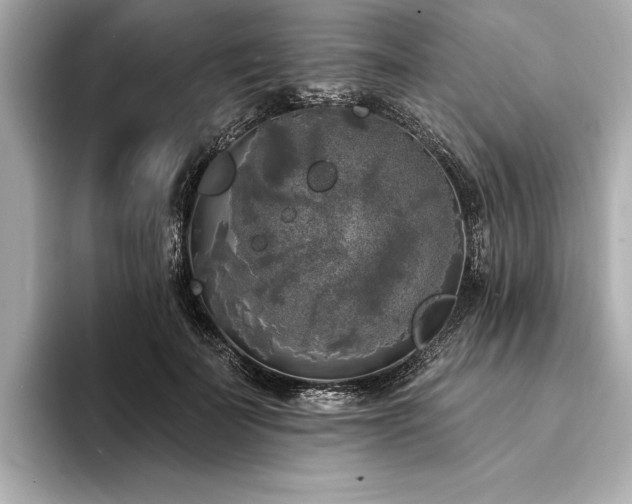 X0000094350699200711021433