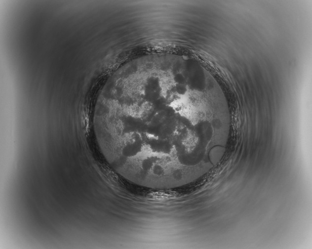 X0000094350703200711021433