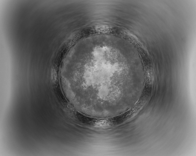 X0000094350705200711021433